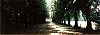 Path.jpg